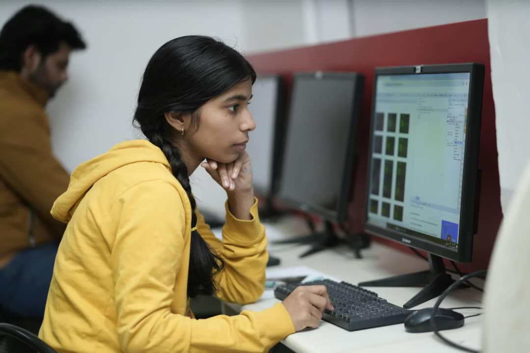 Developers collaborating in mentorship program